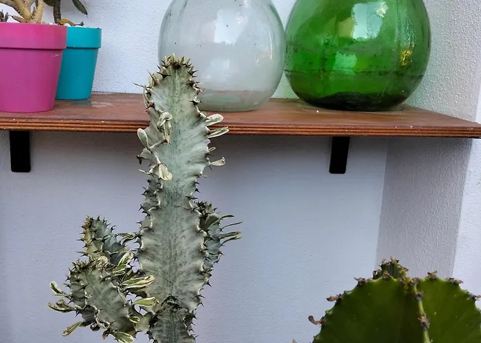 Dimora Del Pittore, Casa de Férias *