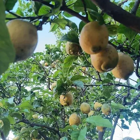 Dimora Del Pittore, *