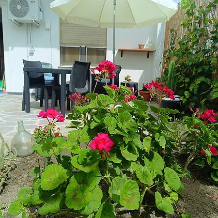 Дом отдыха Dimora Del Pittore, Usellus