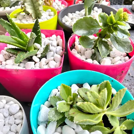 بيت للعطل Dimora Del Pittore,