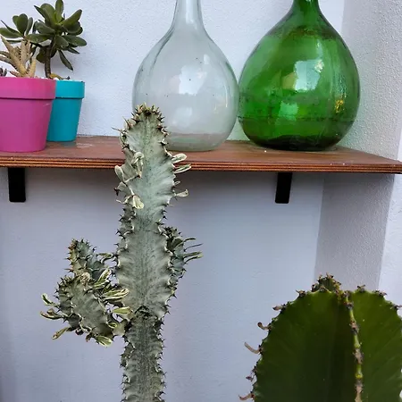 Dimora Del Pittore, 度假居 *