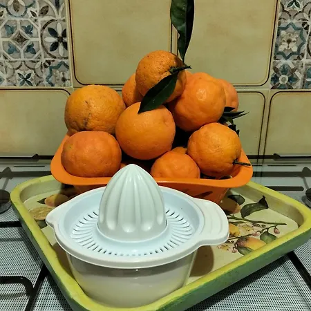 Dimora Del Pittore, Usellus