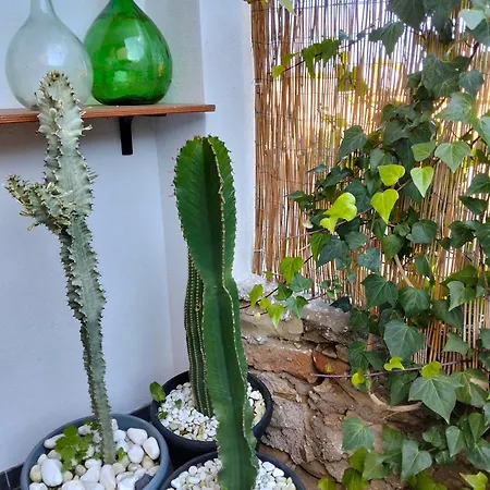 بيت للعطل Dimora Del Pittore, *