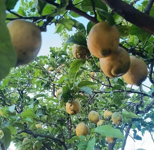 Dimora Del Pittore, *