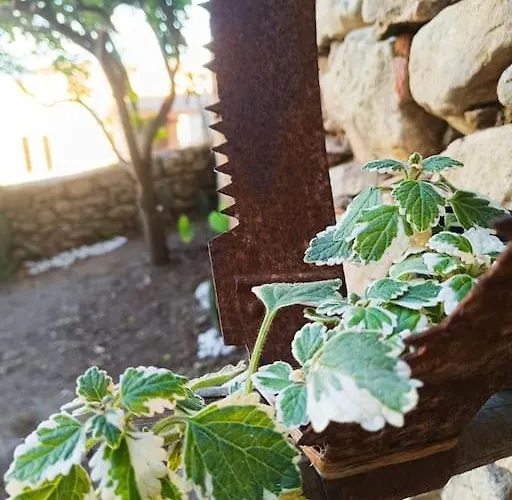 Dimora Del Pittore, Usellus