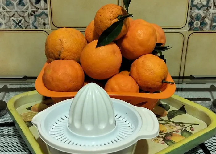 Dimora Del Pittore, Usellus